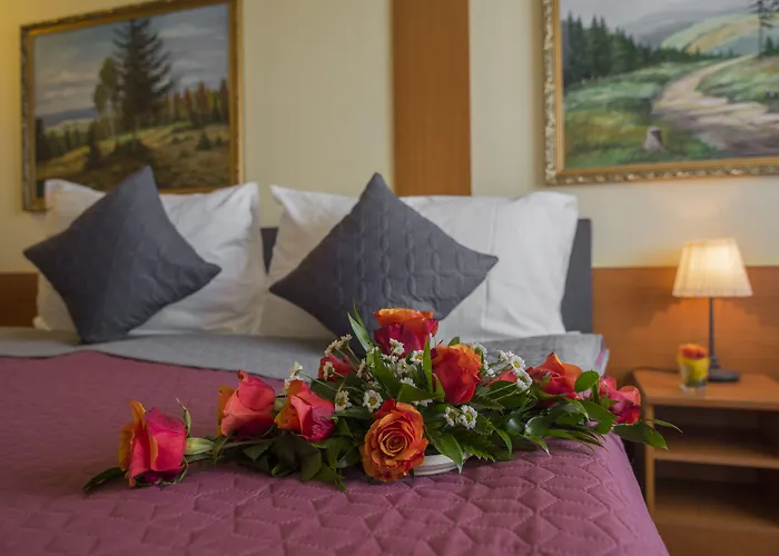 Hotel Top Hotel Praha