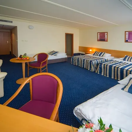 Top Hotel Praha מלון 4*