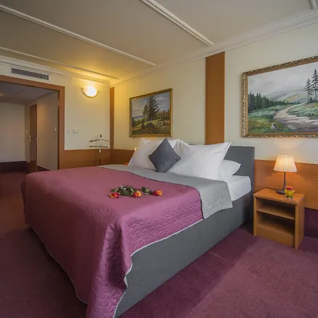 מלון Top Hotel Praha 4*