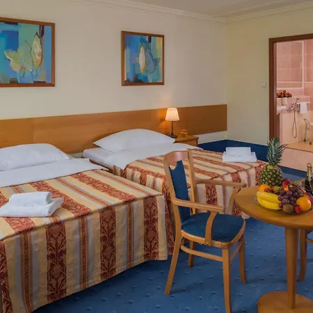 酒店 布拉格顶级酒店