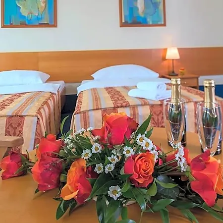 Hotel Top Hotel Praha 4*