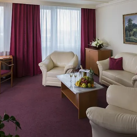 TOP HOTEL Praha 4*