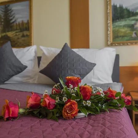 Otel Top Hotel Praha Prag