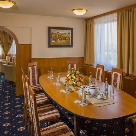 TOP HOTEL Praha 4*