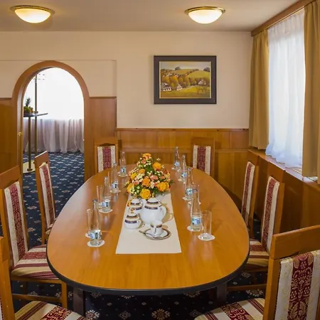 TOP HOTEL Praha 4*