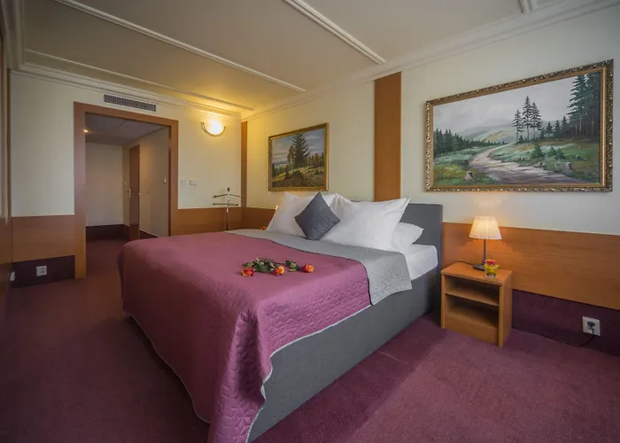 Hotel Top Hotel Praha 4*