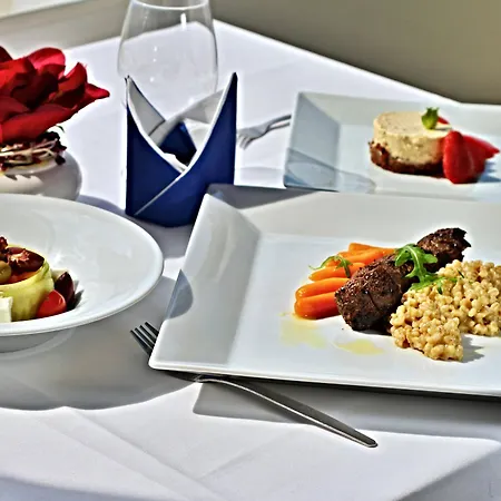 Hotel Top Hotel Praha 4*